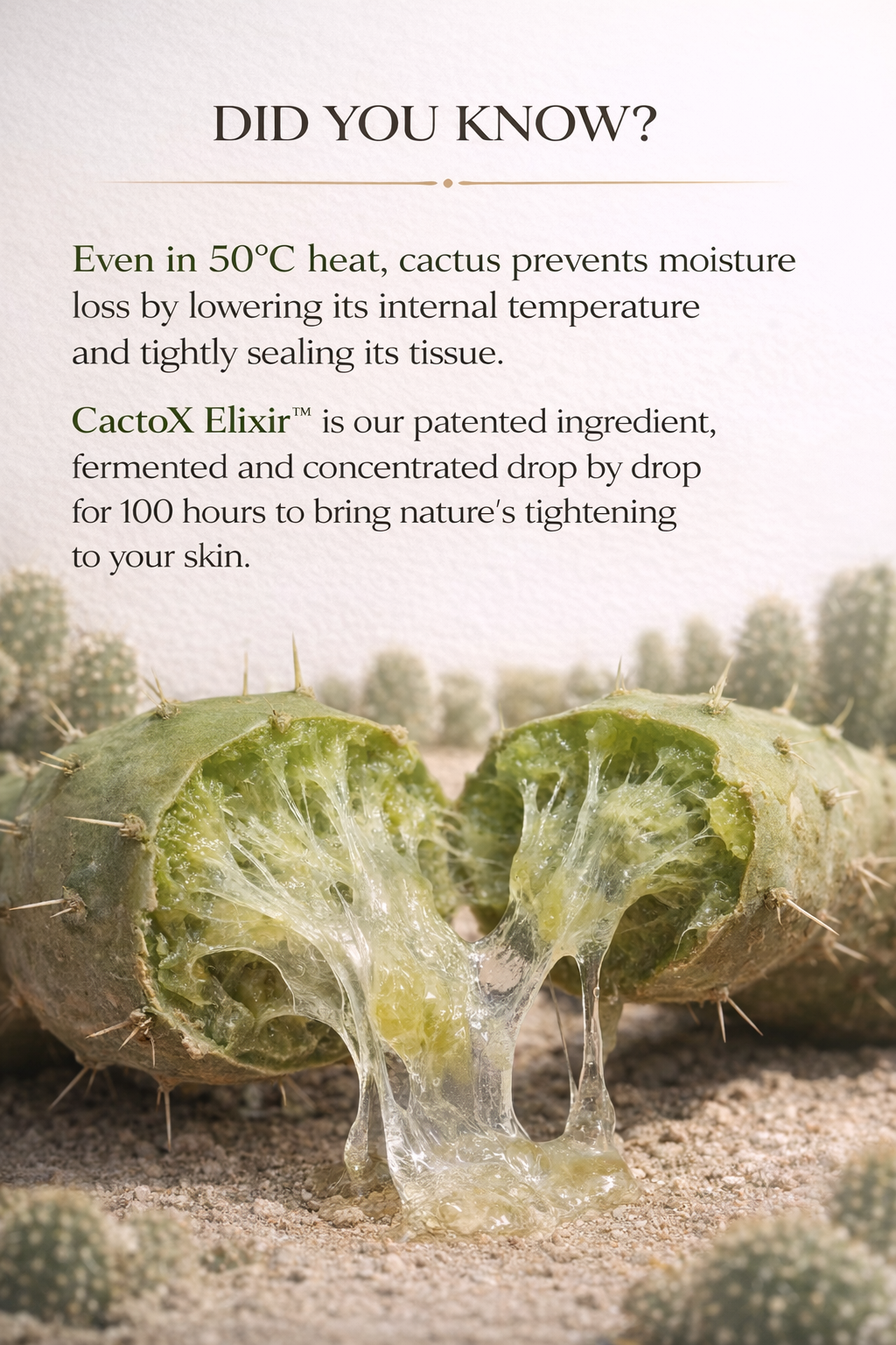 Zivetta V- Lifting Mewing Band