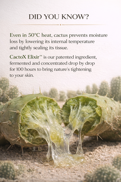 Zivetta V- Lifting Mewing Band